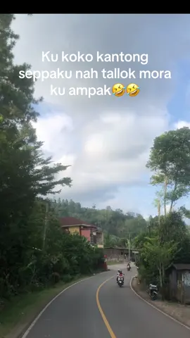 Tek apa apa tau🤣🤣 #fyp #foryou #torajasulawesiselatan #torajanese #statustoraja 