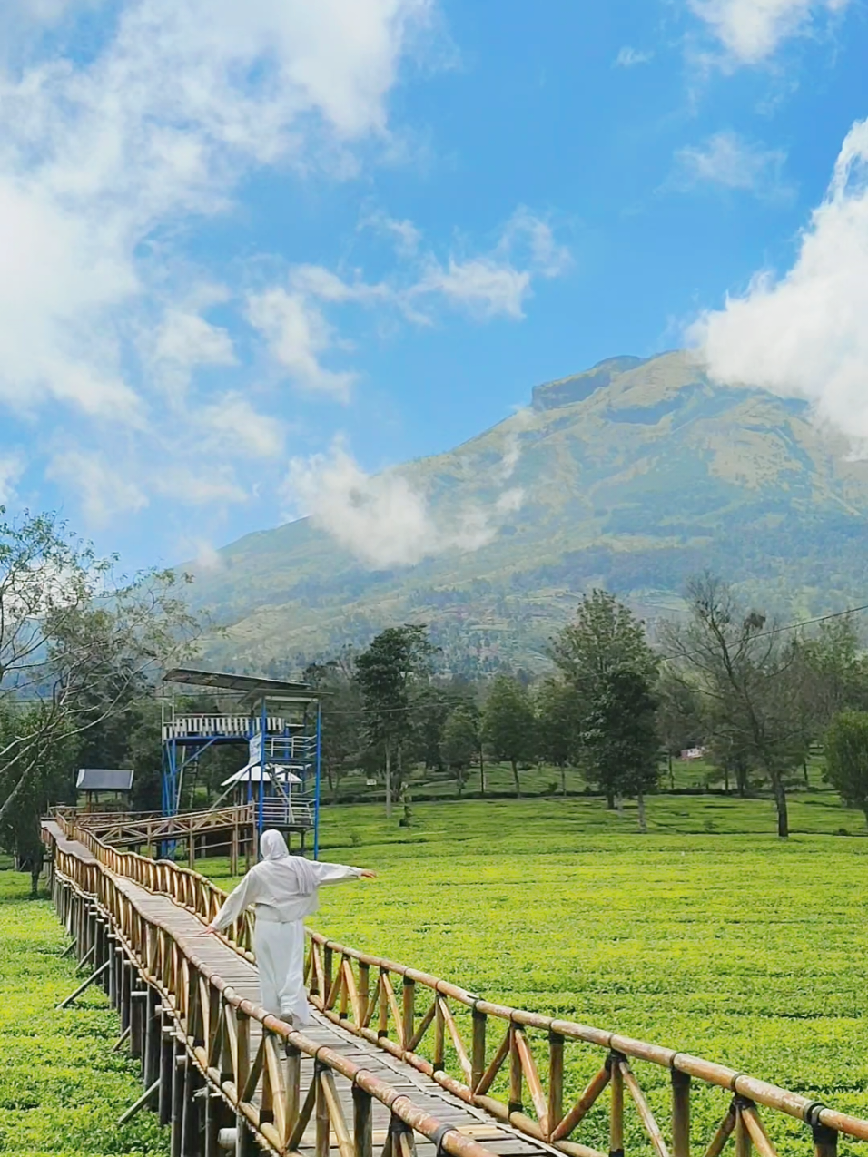 aku, kamu, kebun teh dan sindoro 🍃✨🌸 #myheart  #kebuntehsikatok #wonosobo24jam #sindoro #fyppppppppppppppppppppppp 