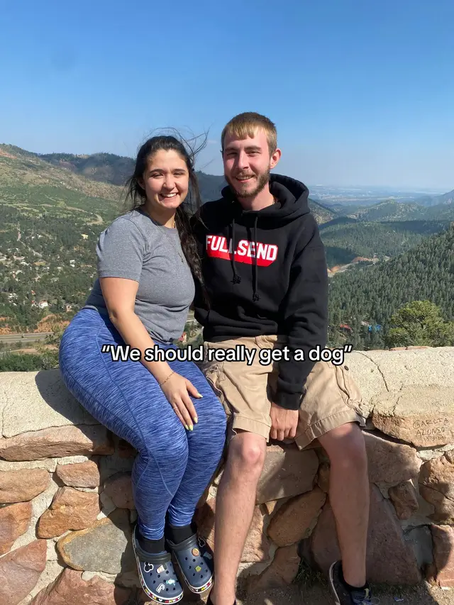 The second one was his idea first 🤣🤣 #englishbulldog #fyp #dogsoftiktok 