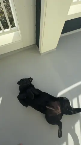 🤍🤍 #morningroutine #morninginmylife #jerseyshore #morningvlog #goodmorning @SKIMS  