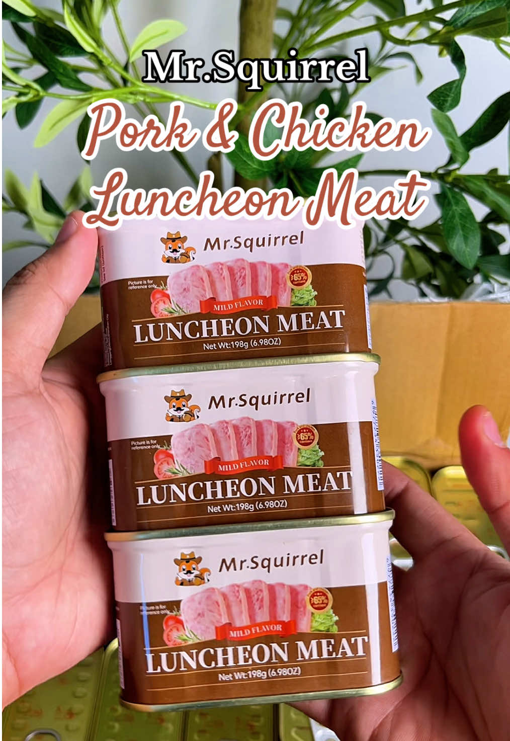 Naparami na nga ng check out! Buy 1 take 1 at masarap talaga! 🤤😋#mrsquirrelluncheonmeat #luncheonmeat #buy1take1 #buy1take1luncheonmeat #FoodTok 