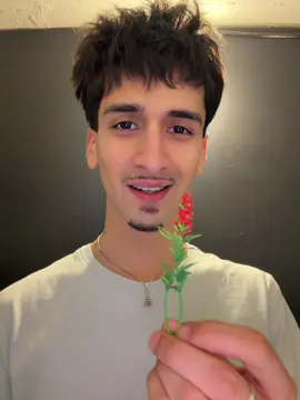 устроился в такси #реки 