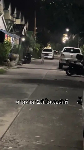 ไอ้แดงคนดีคนเดิม เจอตัวแล้ว🤣 #เด็กดื้อ 