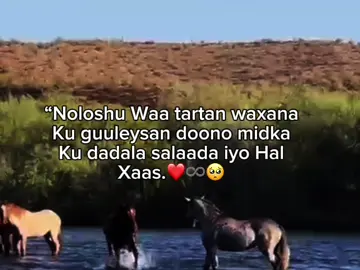 xaqiq❤️#somalitiktok #viraltiktok #foryoupage #fyt