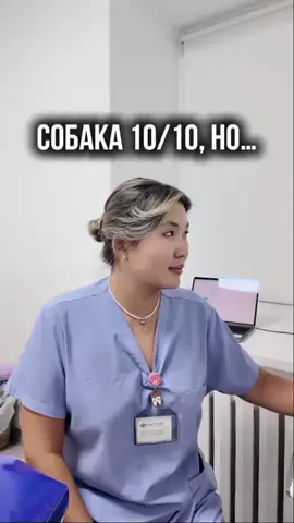 #таксалучшаясобака #такса #fakesituation #fakesituation⚠️ #fakeall 