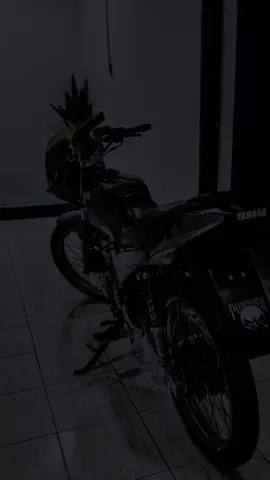 kelawar menyengat🦇#4u #batman #rxz 