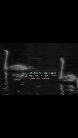 جگە لە مرۆڤ .| 5:20 |                                                                    #zuuhal #allah #kurd #fyp #actives? 