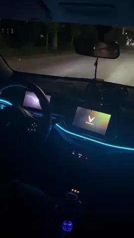 Chào cái cho vui nhà vui cửa nào #vinfast #viralvideo #vf5 