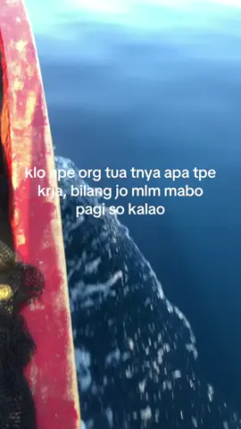 #sangihemaketi🔥  #sangihepride🔥  #fypシ゚viral 