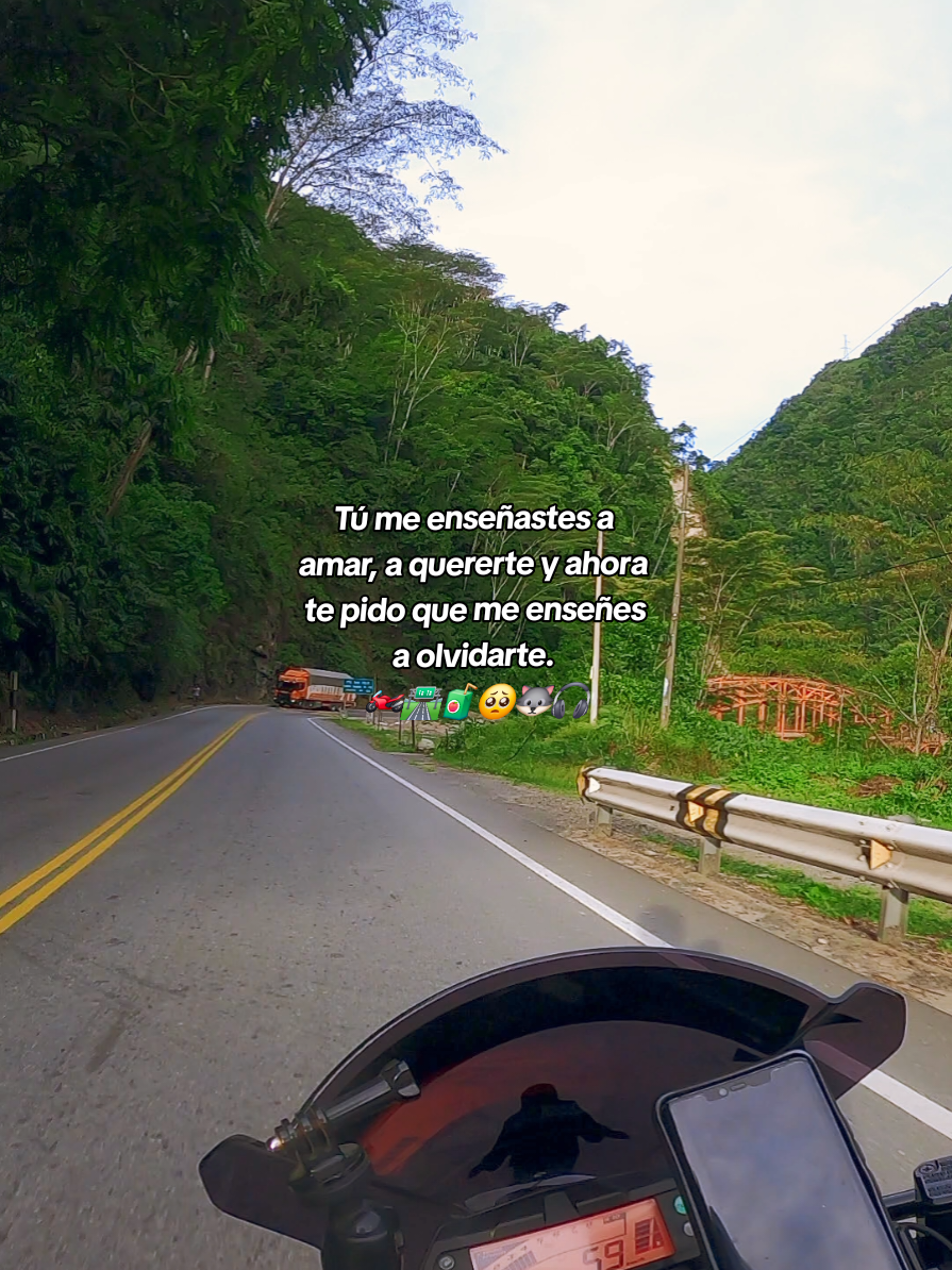 🥺🧃🛣🏍 #elloboylasociedadprivada #selvacentral🌴💚 #ruterosperú🇵🇪 #chanchamayo #yamahafz 