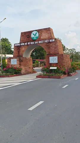 con đường gốm đỏ và hoa dài nhất Việt Nam tại Vĩnh Long #xuhuong #dulich #vĩnhlong #trending #travel 