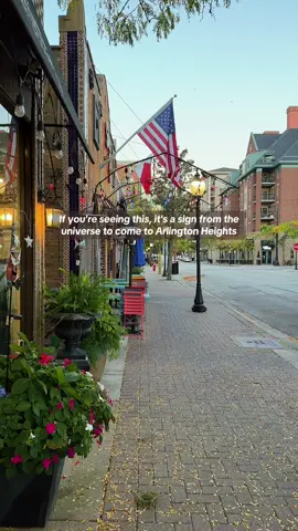 Basically the Stars Hollow of Illinois 🍁 🍂  Downtown holds nearly 30 restaurants and nightlife spots and is one of the most walkable neighborhoods in the burbs. Outside of restaurants and shops there are also numerous parks, and cultural venues like the Metropolis Performing Arts Centre.  Our sense of community is elite. Residents describe it as having a welcoming, close-knit community with a blend of suburban comfort and urban convenience.    Convenient location with easy access to Chicago via Metra train and major highways.    Top rankings: Named the # 1 best place to live in Illinois and # 56 nationally by U.S. News & World Report. It was also ranked the #1 safest place to live in Illinois and # 12 safest in the U.S. This is your call to come to Arlington Heights, IL 🥰 #arlingtonheights #arlingtonheightsillinois #chicagosuburbs #gilmoregirls 