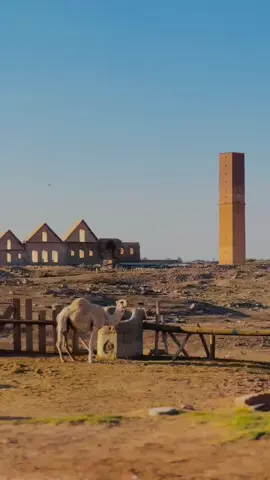 #şanlıurfa #harran #📍