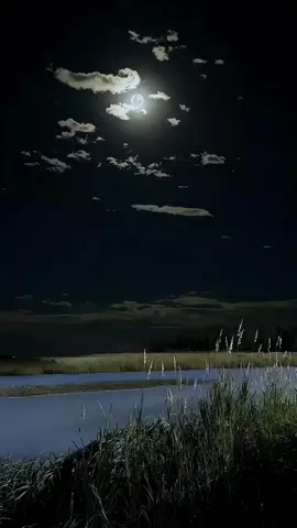 لم أبدأ شيئًا ، من أين لي كل هذهِ النِّهايات ؟. . . . . .. . . . . . . #تعليق #متابع #fyp #لايك #اكسبلور 