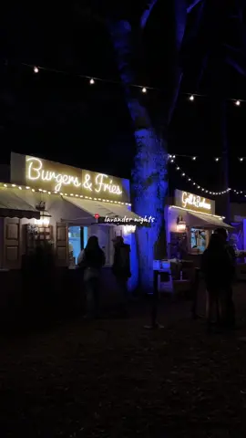 such a cute family date night at Lavender Nights 🌙💜 #lavanderfestival #lavandernights #familydatenight #datenight #Vlog 