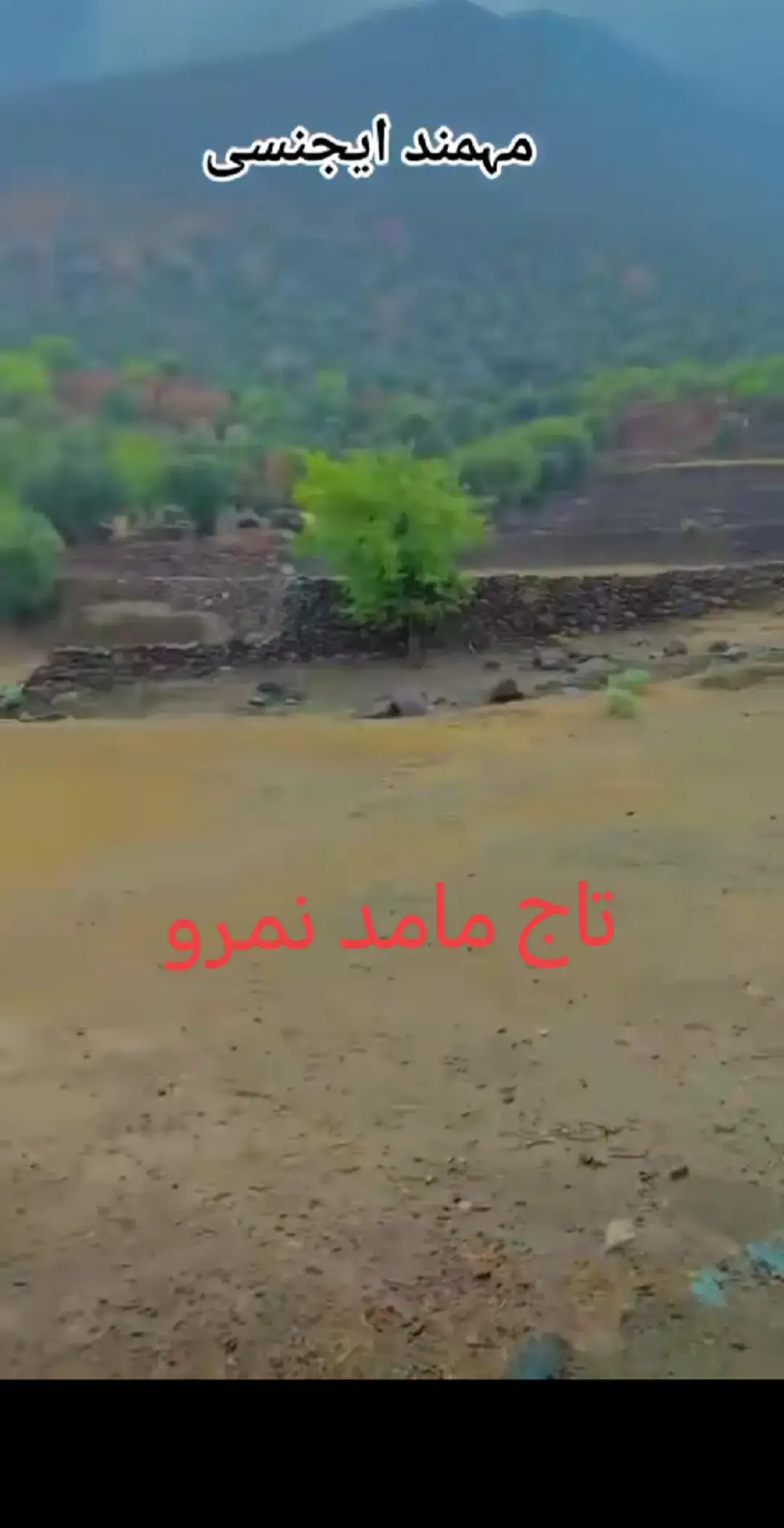 #tiktok #viral_video #foryoupage #👈👈 