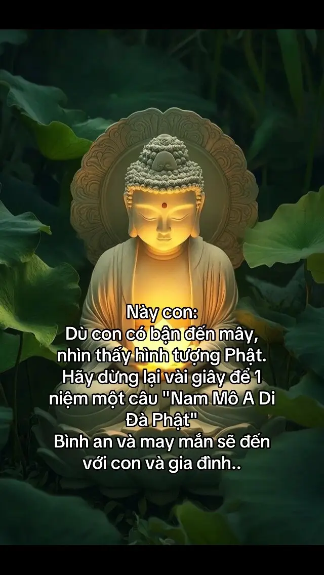 Nam Mô A Di Đà Phật