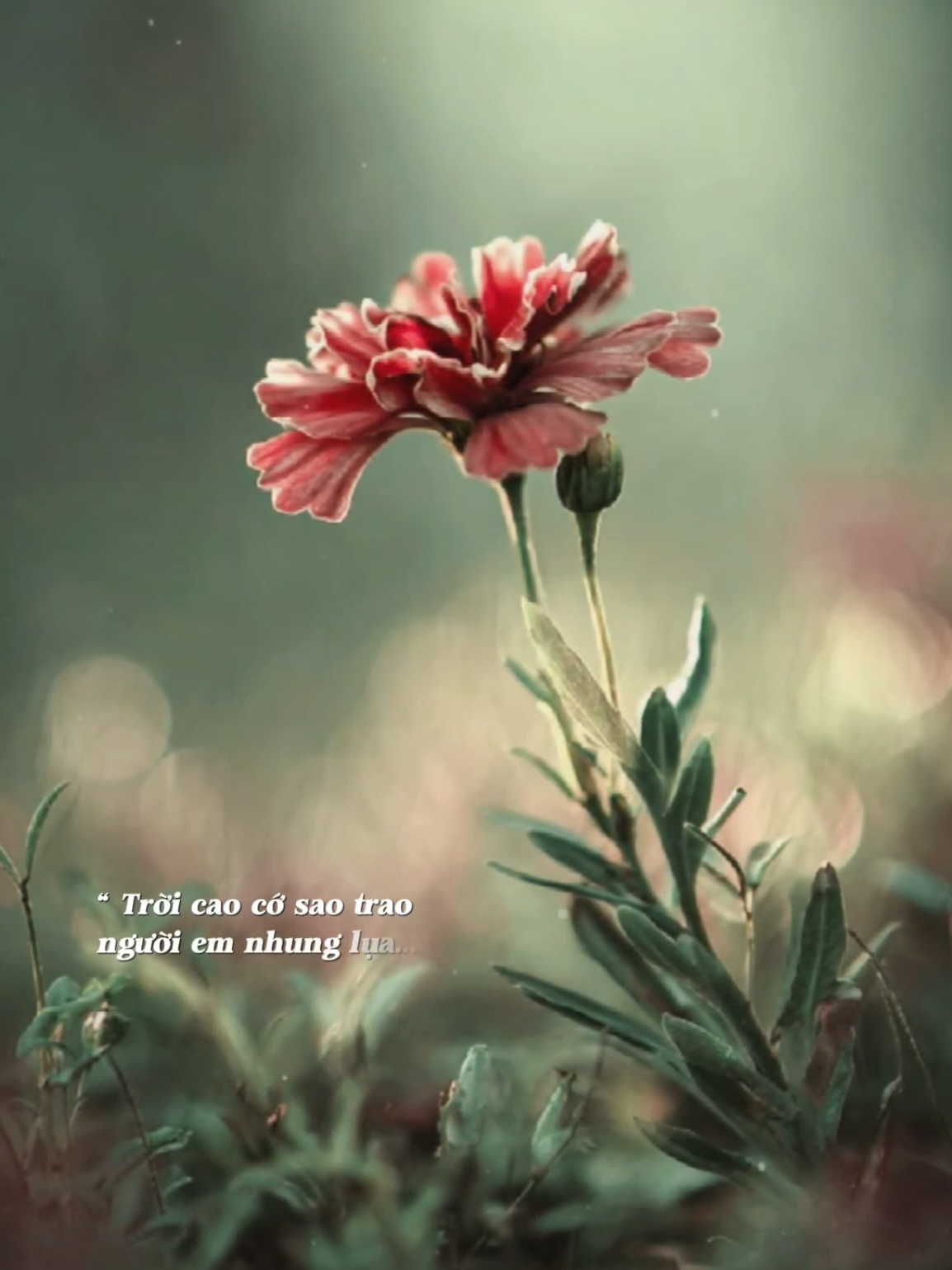 Ta bắt đầu yêu bằng trăm lời tán tỉnh... #xinmotlananai #dinhdung #lbdmedia #Bkmuzic #nhachaymoingay