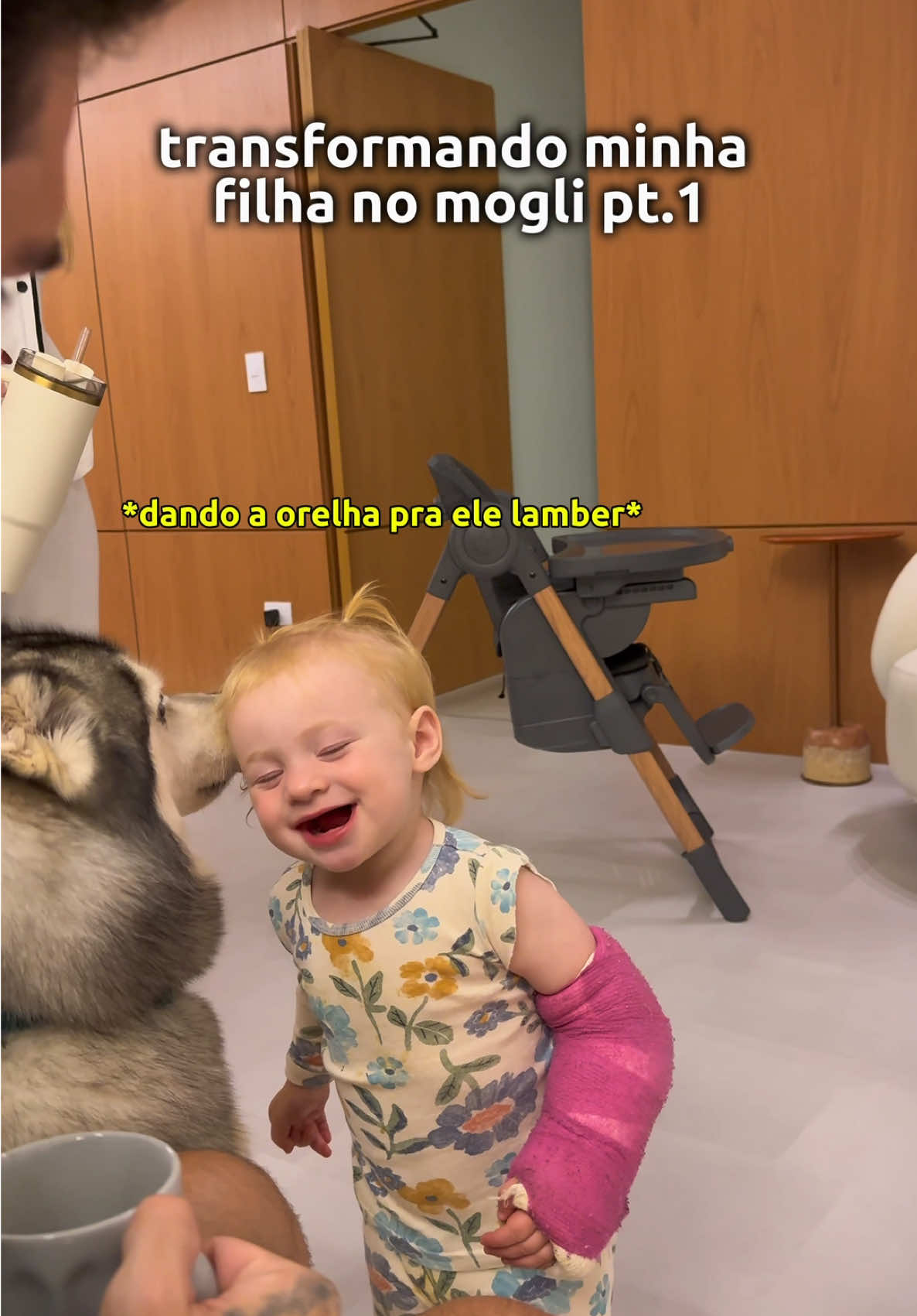 estamos formando uma matilha 🐺 @Gudan, o husky cinzento 