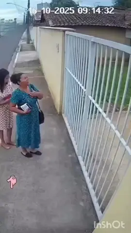 #bomdia #testemunhadejeová #cachorro #humorcristão #susto