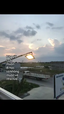 nay that su buon r cu duoc 1 con nang lai phai don 10 con mua bay gio chi co di hoc moi co dc nu cuoi thay co co chui boi cung khong buon ntn chi co bong chuyen ms yeu minh thoi a thì tu nay kh di chs nua la dc cu dc cho cai nay cai kia cai lai di so sanh trong khi do da cho t giong ngta a t dang o trong do tuoi  de kho chiu de suy nghi kh thau dao the nen bot lai chet luc nao kh bt , kh bt song dc bao lau nen dang tu huong thu day , t cung co to ra vs bb t on hoi xem on cho nao , gio k muon ở nhà nua met lam den hoc cung noi ma kh hoc cx noi di choi cung noi cai gi cung noi dc a mac met #duroi#dendaythoi #viral 