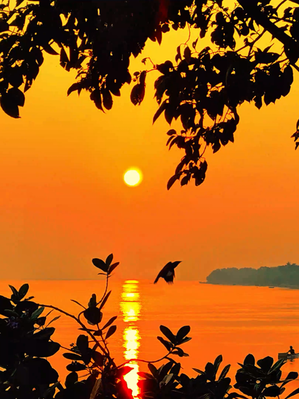 আল্লাহ হেফাজত করুন🥺#jamsed_mazumder #mijanur_rahman_ajahari #আবু_ত্বহা_মুহাম্মদ_আদনান #abutohamuhammadadnan #abutohamuhammadadnan 