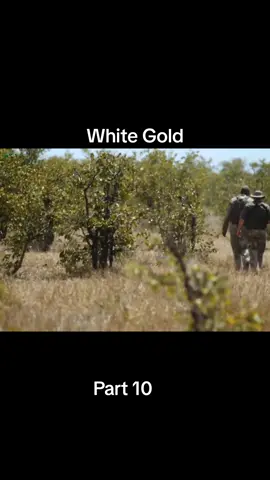 White Gold, Part 10 #animals #wildanimals #Jungle #documentary #viral 
