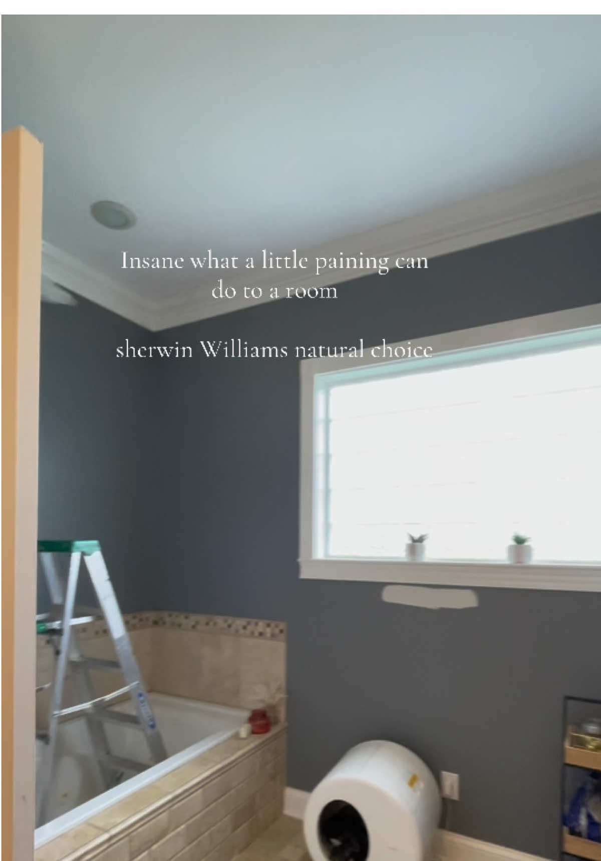 Now to thrift my bathroom decor #thriftedfinds #thrifteddecor #sherwinwilliams 