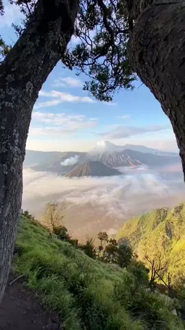 kamu dan keindahannya #qoutes #pemandanganalam #pesonaindonesia #qoutes #indiasong 