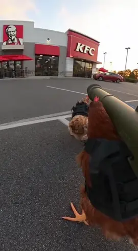 Payback time #funnyanimals #funny #funnyanimal #chickens #kfc