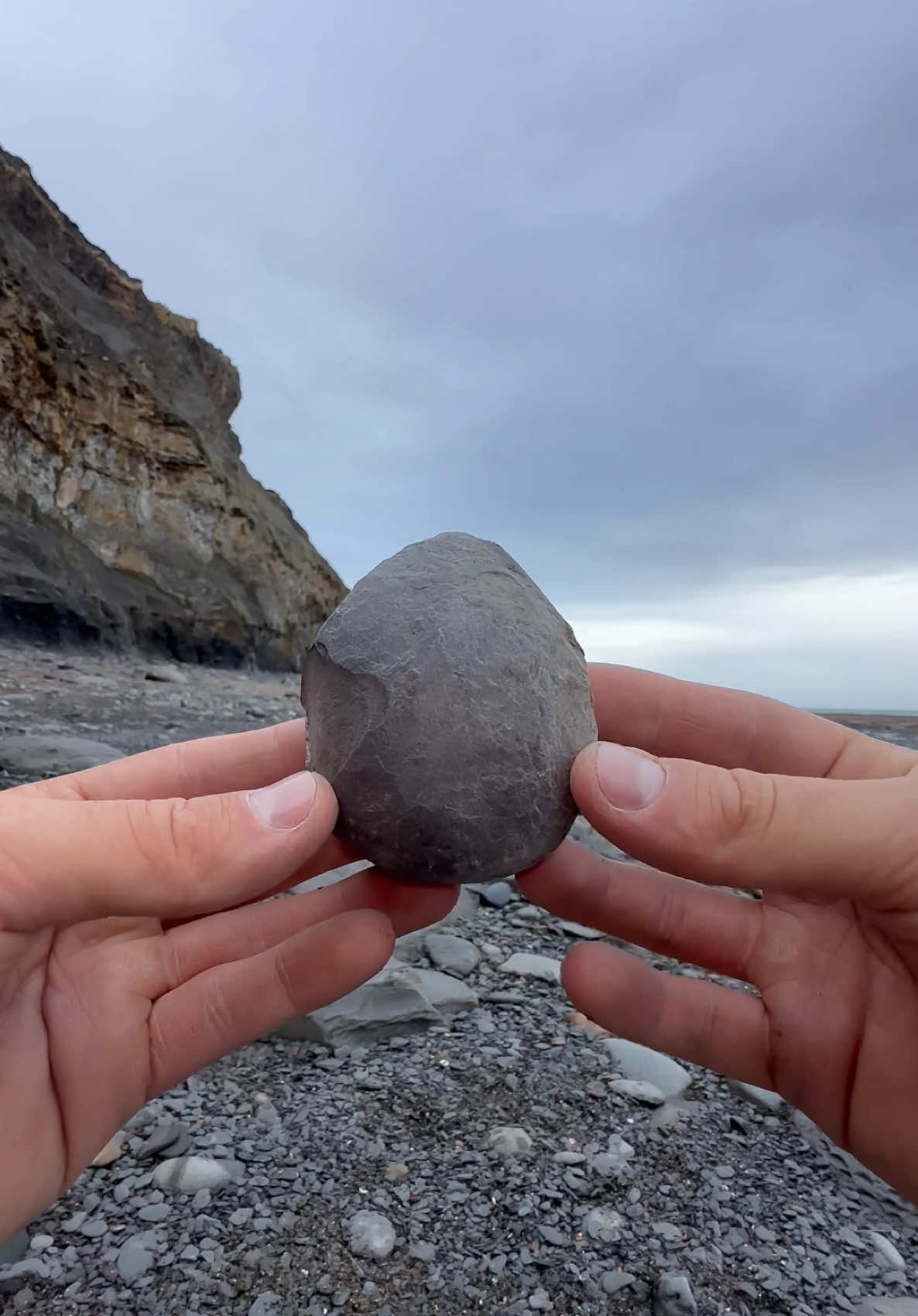 We found this hidden within a huge boulder and excavated it! 🏝️ Inside this Jurassic rock, something extraordinary was hiding 🪨 We also discovered this limestone orb-like rock! 🏝️ Inside, we couldn’t believe what was preserved! 🫣🏝 Thanks for supporting our page! 🐊 #natural #nature #fossil #fossils #fyp