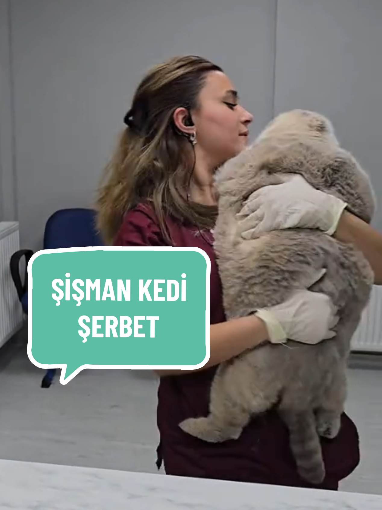 Fazla kilo evcil hayvanlarınız için de tıpkı insanlarda olduğu gibi bir çok hastalığı beraberinde getirir. Kilo alımına sebep olabilecek hastalıkların ya da aşırı kiloya bağlı gelişen hastalıkların ivedilikle tespit, teşhis edilip, tedavisi ve devamında da sıkı takibi yapılmalıdır.Kabul ediyoruz tombul hayvanlar hepimize çok sevimli geliyor ama bu kesinlikle sağlıksız ve önüne geçilmesi gereken bir durum.#fatcat #catsoftiktok 
