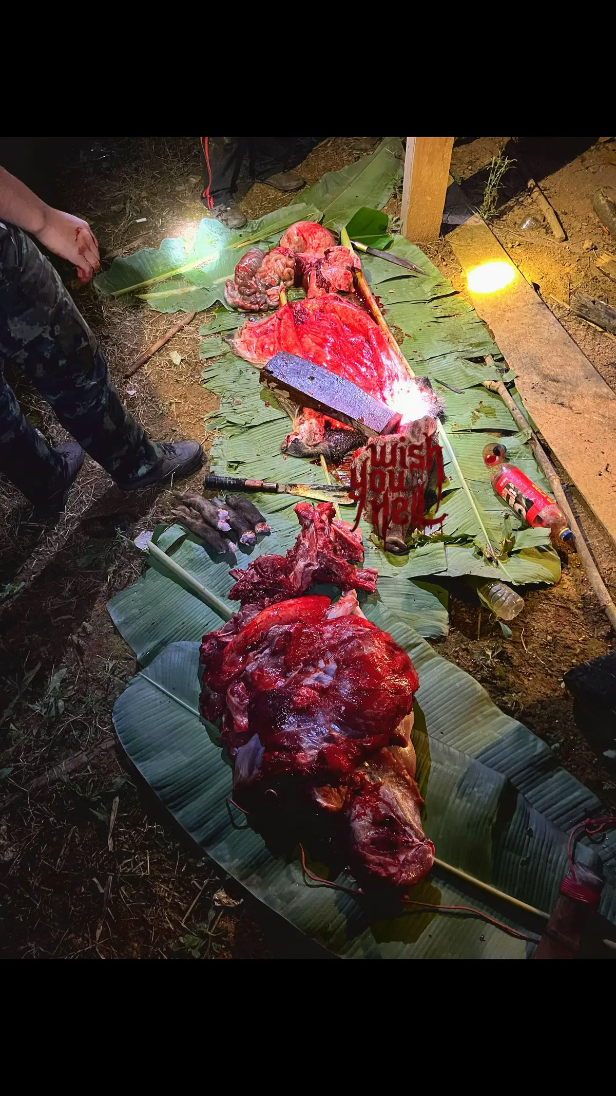 #พรานฝึกหัด #วันรุ่นนิยมไพร #พรานบ้านนอกหากิน #วิถีพรานน🌳🐗🐗🐗🐗💯💯💯 