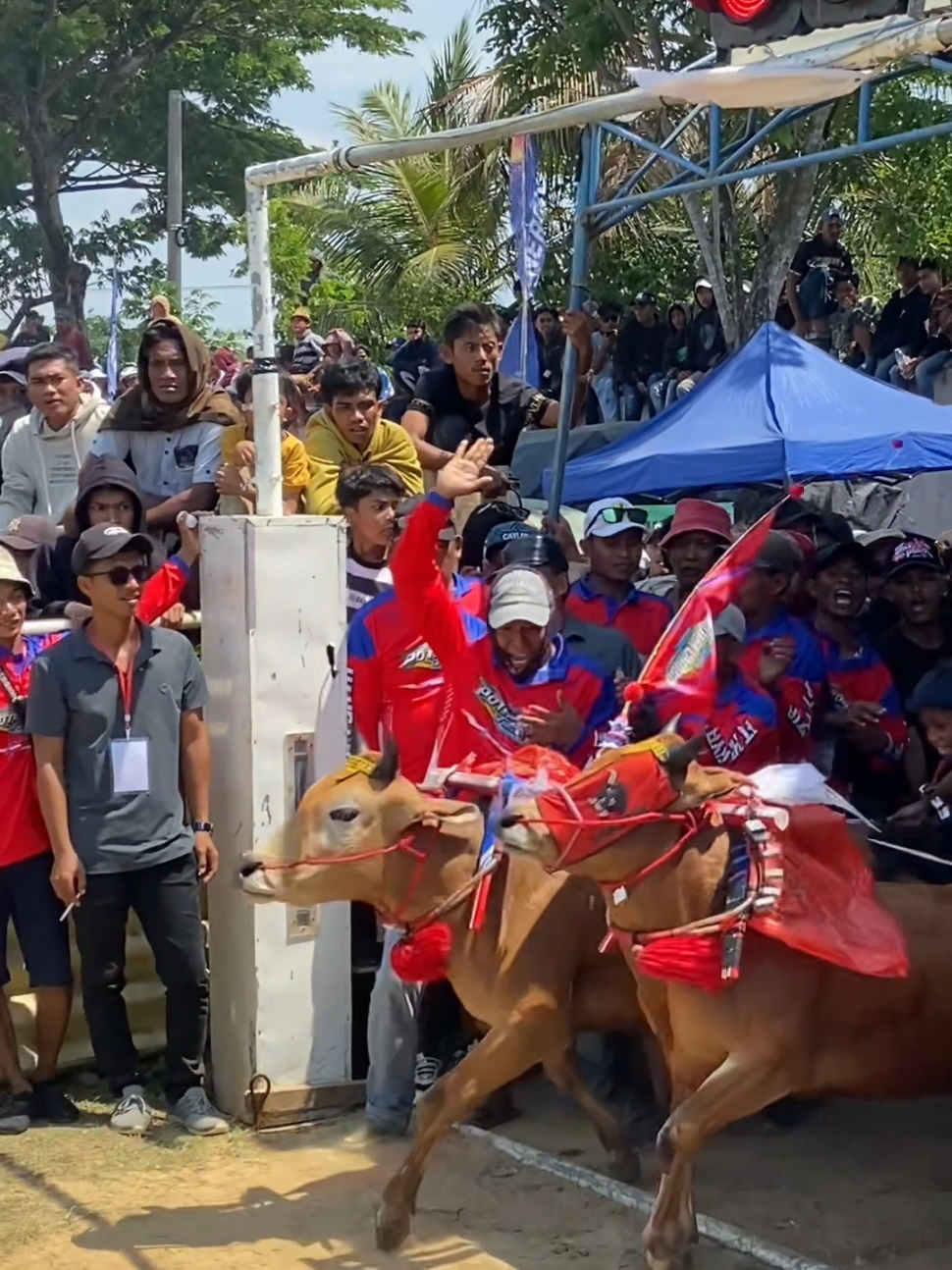 sisa hari minggu di bangkalan kerapan sapi piala 🏆presiden 😊#karapansapijawa🐂🐂 #karapansapi #karapansapimadura #fypシ゚viral #foryoupage 