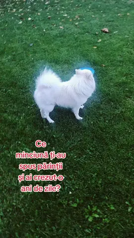 Ce minciună ţi-au spus părinţii şi ai crezut-o ani de zile? #funn #copilarie #fyp #viral #kinderpuppy 