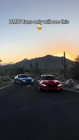 Only bmw fans will see this 🚗 #brakelight #bmwlife #carguys #giftideas 