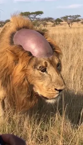 When the stress hits 😭