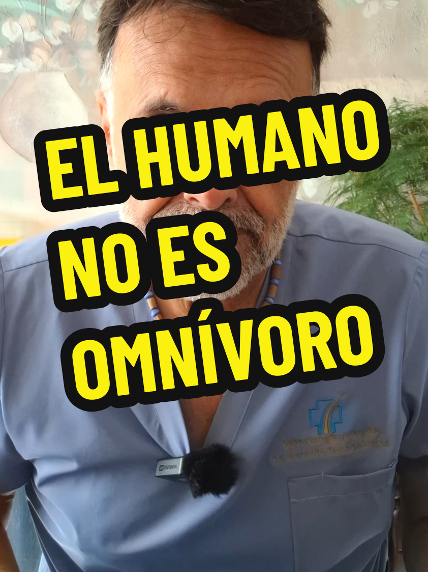 EL HUMANO NO ES OMNÍVORO #nutricion #veterinaria #perro #gato #carnivoro 
