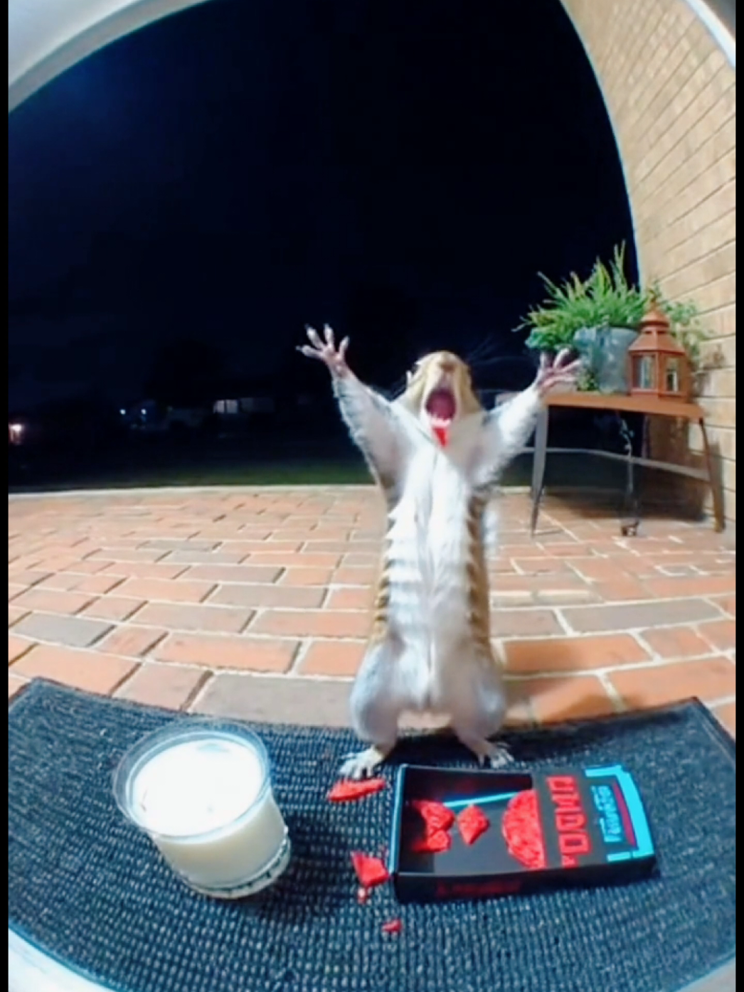 Takis Are Too Hot for This Squirrel #funnyanimals #sora2 #securitycam #foyoupage #creatorsearchinsights 