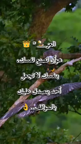 العز هو أن تصنع نفسك بنفسك لاتجعل أحد يتصدق عليك بالمواقف #كلمات_قوية_شامخه #🦅صمت_الرجوله🦅 #صقر ##explore 