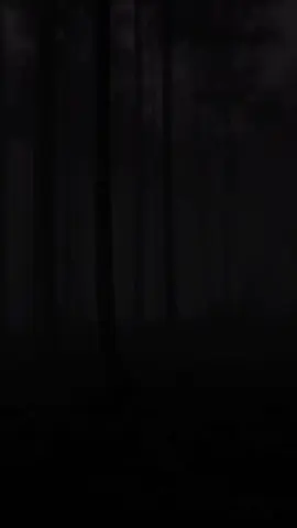 airdrop new #peakai  #takeapeakai #katakata #fyp #zxybca 