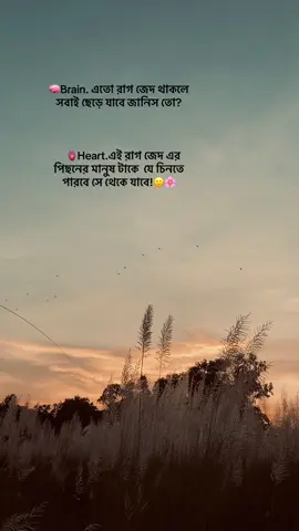 🧠Brain. এতো রাগ জেদ থাকলে সবাই ছেড়ে যাবে জানিস তো? 	🫀Heart.এই রাগ জেদ এর পিছনের মানুষ টাকে  যে চিনতে পারবে সে থেকে যাবে!🙂🌸###