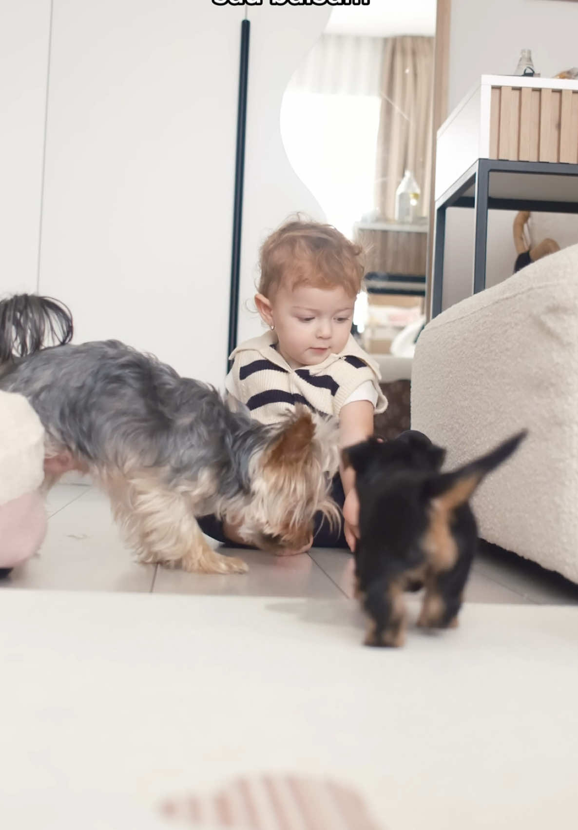 1 copil, 3 câini și o grămadă de rufe… asta e viața noastră de zi cu zi! 🧺 Între hainele transpirate de la sport, momentele de joacă cu animalele și energia fără sfârșit, păstrarea hainelor cu adevărat curate e o prioritate în casa noastră. De aceea, Sanytol Dezinfectant pentru Rufe face parte din rutina noastră sănătoasă, elimină 99,9% dintre bacterii chiar și la spălare cu apă rece, fără clor, și lasă un miros proaspăt și curat. 💚 Pentru mine, așa arată un obicei sănătos: ✔️ Haine curate ✔️ Copil fericit și activ ✔️ Liniște sufletească #Sanytol #TheHealthyHabit #MomLife #BigFamily #CleanClothes     