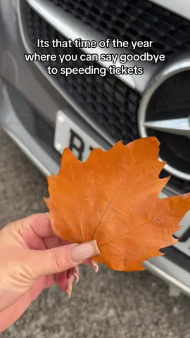 Its that time of the year  where you can say goodbye to speeding tickets #funnyvideostiktok #speedingticket #autumnhacks #funlife #fastdriver 