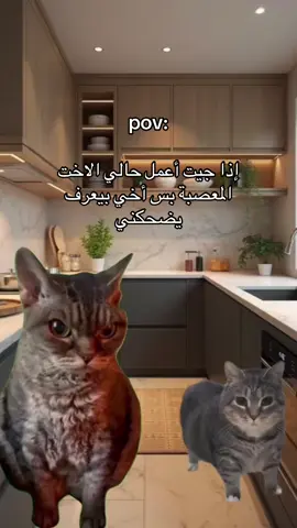 #CapCut #Meme #MemeCut #الرياض #fouryou 