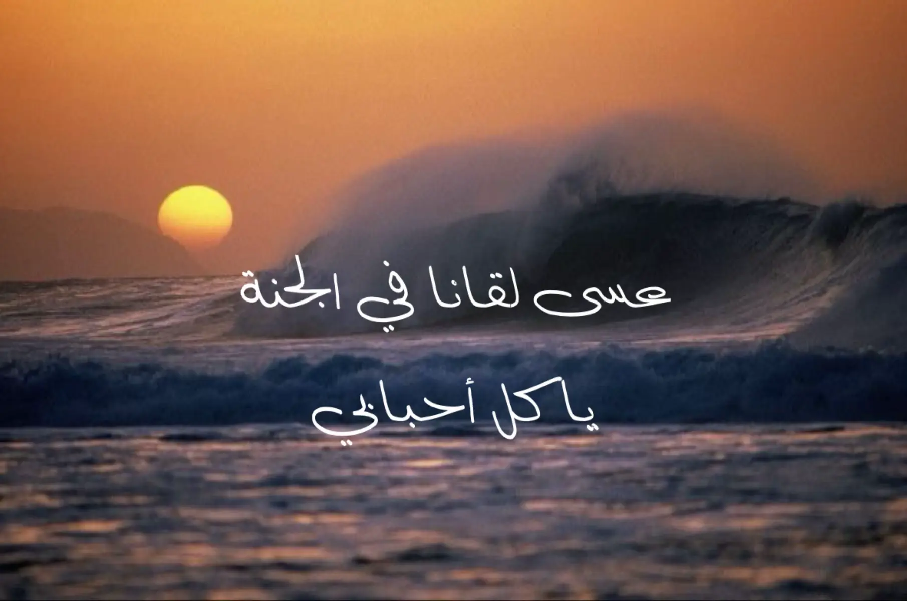 #explore #foryou 