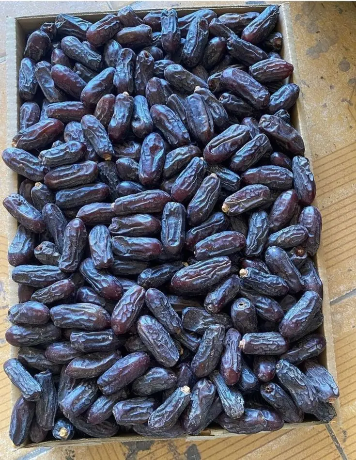 madinah munawra Madinah, the City of the Prophet, shines bright A beacon of faith, where Islam's history takes flight The Masjid an-Nabawi, a mosque of grandeur and might Where the Prophet Muhammad's tomb is a sacred sight The city's streets are lined with date palms, green and tall A tranquil oasis, where faith and peace enthrall Madinah's rich history and heritage are palpable and realMadinah's rich history and heritage are palpable and real A place where Muslims from all over the world come to feel The city's warm hospitality and welcoming smile Make it a place of pilgrimage, worth traveling a long while #plztiktokteamdontuderwiewmyvideos #foryoupage