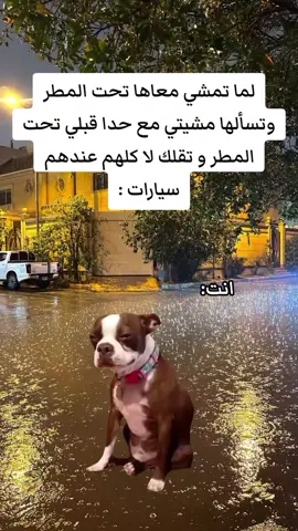 #fyp #foryoupage #viral #explore #الشعب_الصيني_ماله_حل😂😂 