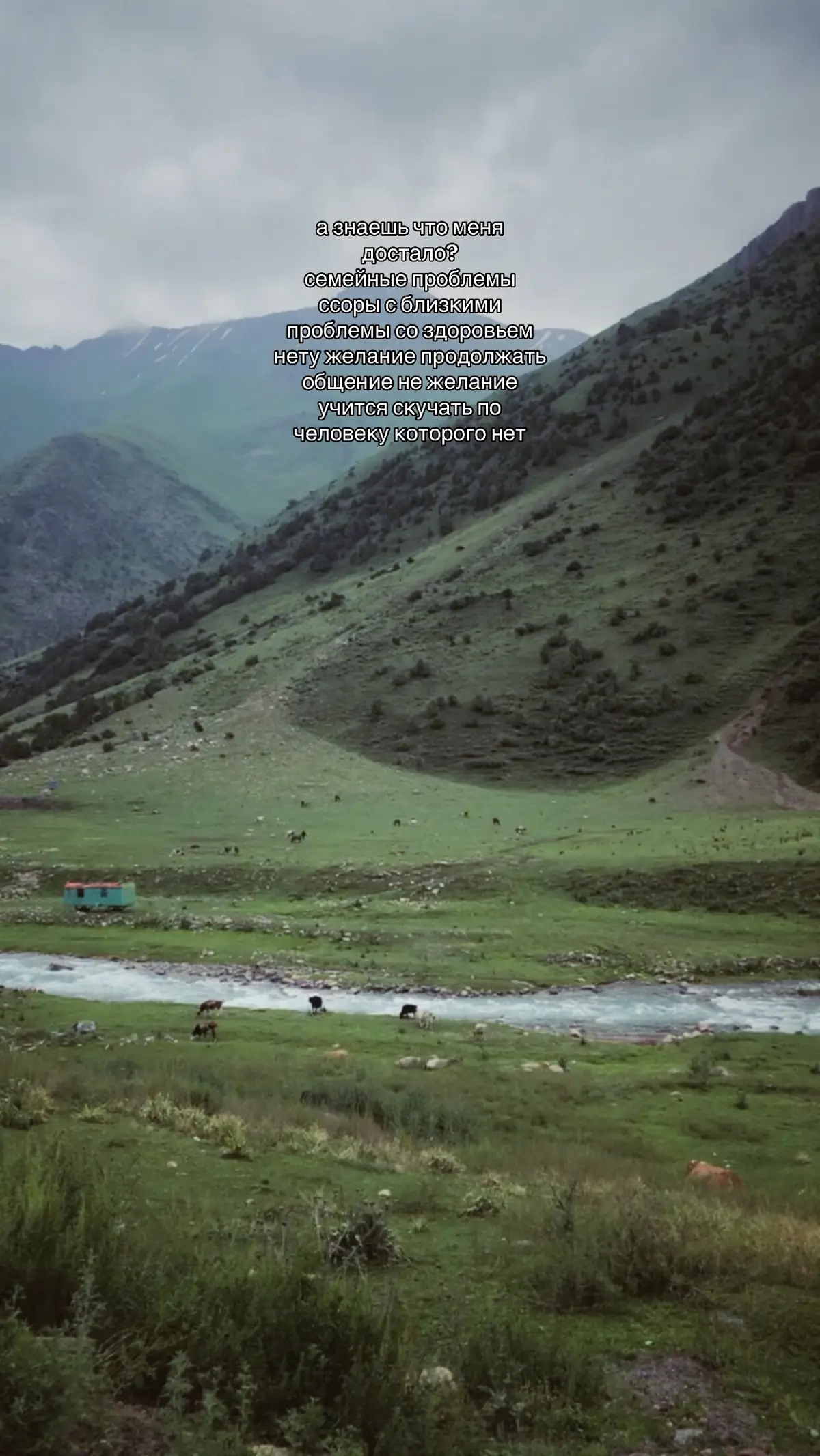 #семейныйпроблемы