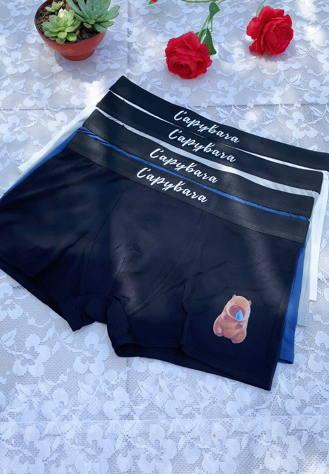 Combo 5 quần sịp đùi capybara mặc thoải mái #ongbocuarum #quanchipsieure #quanchipredep #quansipam #quanchipchobe   @Ông Chú Gia Dụng  @Ông Chú Gia Dụng  @Ông Chú Gia Dụng 